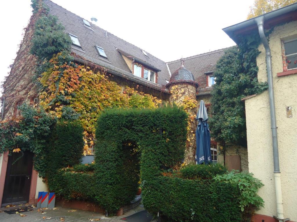 Hotel Burg-Stuben Mainz Eksteriør bilde